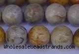 CFC204 15.5 inches 12mm round fossil coral beads wholesale