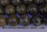 CFC214 15.5 inches 12mm round grey fossil coral beads wholesale