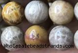 CFC323 15.5 inches 10mm round fossil coral beads wholesale