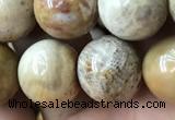 CFC325 15.5 inches 14mm round fossil coral beads wholesale