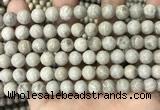 CFC331 15.5 inches 8mm round fossil coral beads wholesale