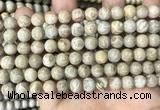 CFC333 15.5 inches 8mm round fossil coral beads wholesale