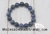 CGB6819 10mm, 12mm sodalite beaded bracelet with alloy pendant