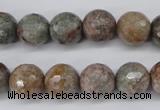 CGG15 15.5 inches 12mm faceted round ghost gemstone beads wholesale