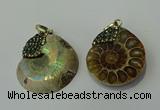 CGP271 25*30mm - 30*35mm ammonite pendants wholesale