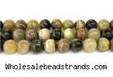 CHJ105 15 inches 14mm round honeybee jasper beads