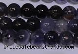 CIL10 15.5 inches 5mm round A grade natural iolite gemstone beads