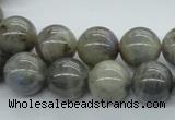 CLB102 15.5 inches 14mm round labradorite gemstone beads wholesale