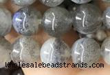 CLB1058 15.5 inches 8mm round labradorite gemstone beads