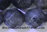 CLB1097 15.5 inches 10mm faceted round labradorite gemstone beads