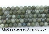 CLB1223 15.5 inches 10mm round labradorite gemstone beads