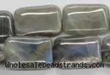 CLB124 15.5 inches 18*25mm rectangle labradorite gemstone beads wholesale