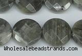 CLB193 15.5 inches 20mm faceted coin labradorite gemstone beads