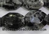 CLB325 15.5 inches 20*25mm octagonal black labradorite beads