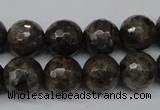 CLB404 15.5 inches 12mm faceted round grey labradorite beads