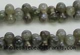 CLB630 15.5 inches 4*9mm bone AB-color labradorite beads