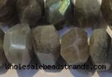 CLB701 15.5 inches 12*22mm - 14*24mm faceted nuggets labradorite beads