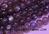 CLB812 15 inches 6mm round blue labradorite gemstone beads