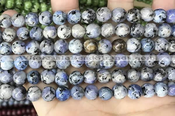 CLJ511 15.5 inches 4mm,6mm,8mm,10mm & 12mm round sesame jasper beads