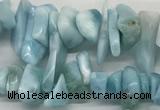 CLR135 15.5 inches 3*8mm - 6*15mm chips natural larimar gemstone beads