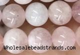 CMG410 15.5 inches 8mm round pink morganite beads wholesale