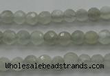 CMS1054 15.5 inches 4mm faceted round grey moonstone beads wholesale