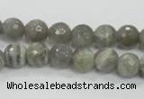 CMS124 15.5 inches 10mm faceted round moonstone gemstone beads