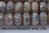 CMS1333 15.5 inches 6*10mm faceted rondelle AB-color grey moonstone beads