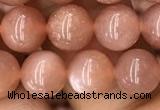 CMS1476 15.5 inches 8mm round moonstone beads wholesale