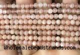 CMS1670 15.5 inches 4mm round moonstone beads wholesale