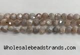 CMS1788 15.5 inches 8mm faceted coin AB-color moonstone beads