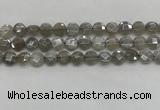 CMS1818 15.5 inches 10mm faceted coin AB-color moonstone beads