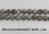 CMS1819 15.5 inches 14mm faceted coin AB-color moonstone beads