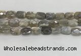 CMS1825 15.5 inches 12*16mm faceted rectangle AB-color moonstone beads