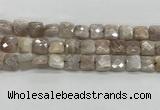 CMS1828 15.5 inches 12*12mm faceted square AB-color moonstone beads