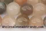 CMS2071 15 inches 8mm round moonstone gemstone beads