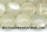 CMS2155 15 inches 10mm round white moonstone beads