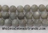 CMS304 15.5 inches 9mm round natural grey moonstone beads wholesale