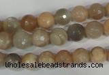 CMS571 15.5 inches 8mm faceted round moonstone beads wholesale