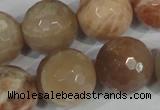 CMS577 15.5 inches 20mm faceted round moonstone beads wholesale