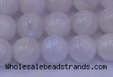 CMS643 15.5 inches 10mm round white moonstone beads wholesale