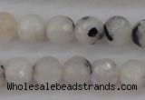 CMS801 15.5 inches 6mm faceted round white moonstone beads