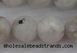 CMS804 15.5 inches 12mm faceted round white moonstone beads