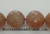 CMS946 15.5 inches 16mm faceted round A grade moonstone gemstone beads