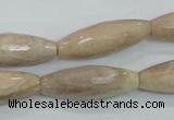 CMS95 15.5 inches 10*30mm faceted rice moonstone gemstone beads