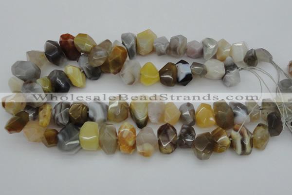 CNG1026 15.5 inches 10*14mm - 15*20mm faceted nuggets Botswana agate beads