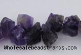 CNG1121 15.5 inches 8*12mm - 13*18mm nuggets amethyst beads