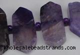 CNG1394 15.5 inches 15*25mm - 20*40mm wand agate gemstone beads