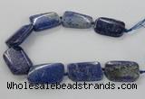 CNG2428 15.5 inches 25*35mm - 30*40mm freeform lapis lazuli beads