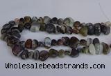 CNG2837 15.5 inches 8*12mm - 15*20mm nuggets botswana agate beads